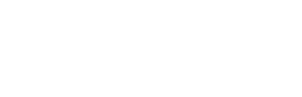 Logo for CG Mini Storage